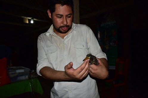Fotografía de Biól. David Cervantes Gómez