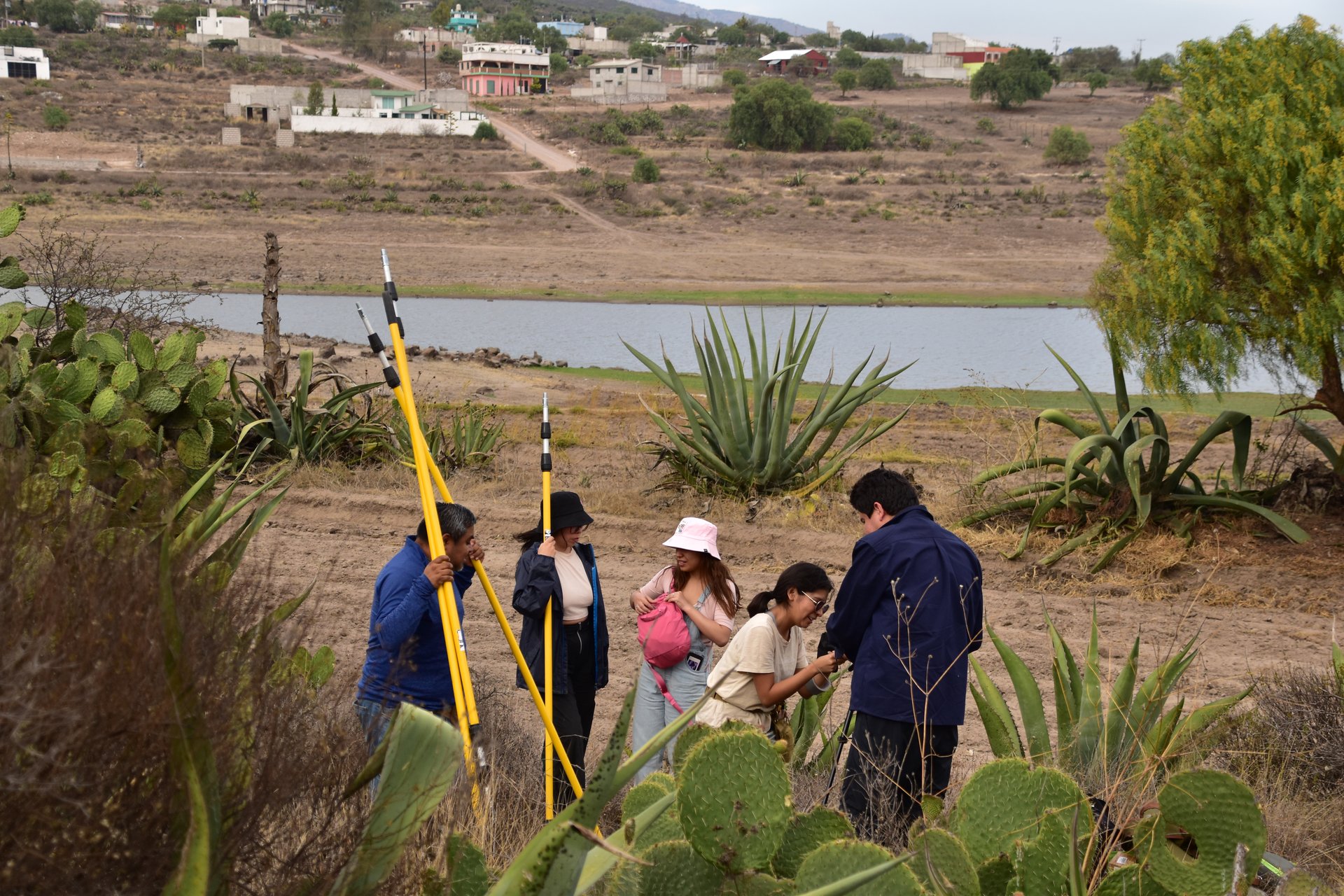 Fauna y flora de Hidalgo
