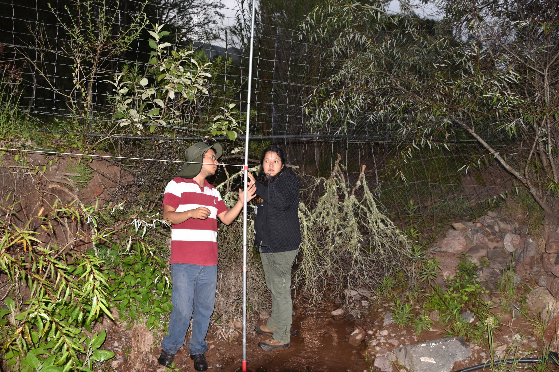 Fauna y flora de Hidalgo