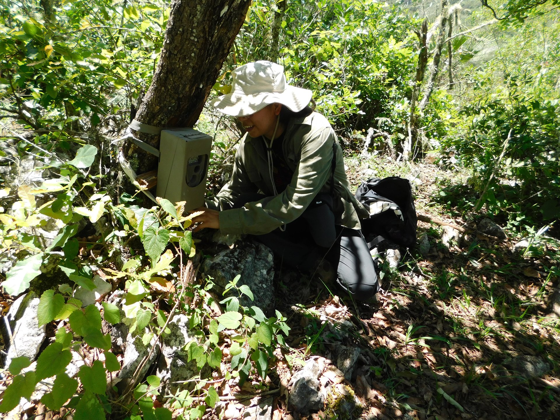 Fauna y flora de Hidalgo
