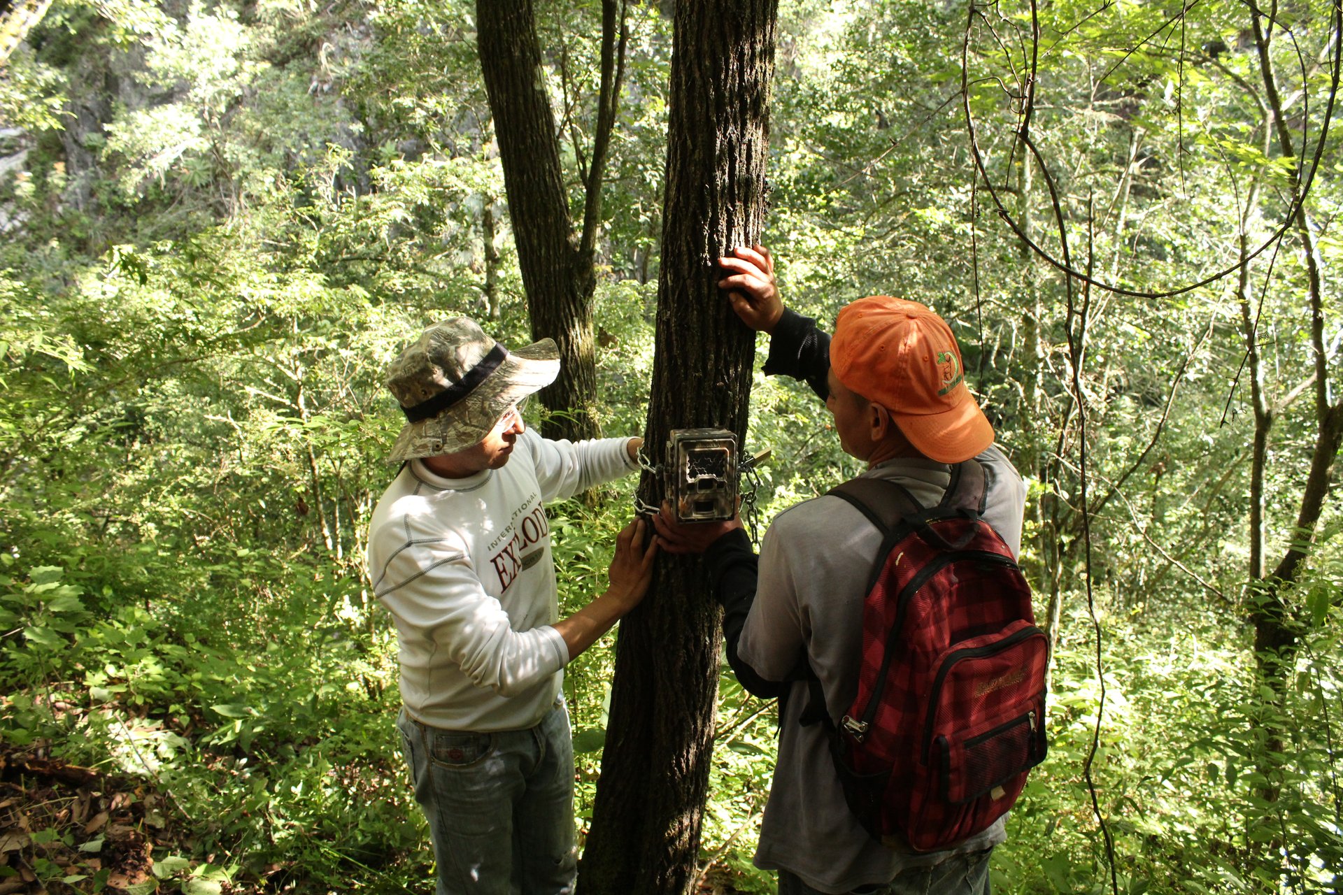 Fauna y flora de Hidalgo