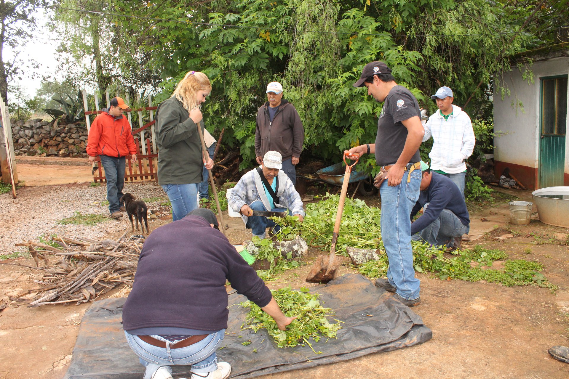 Herramientas de aprovechamiento sustentable