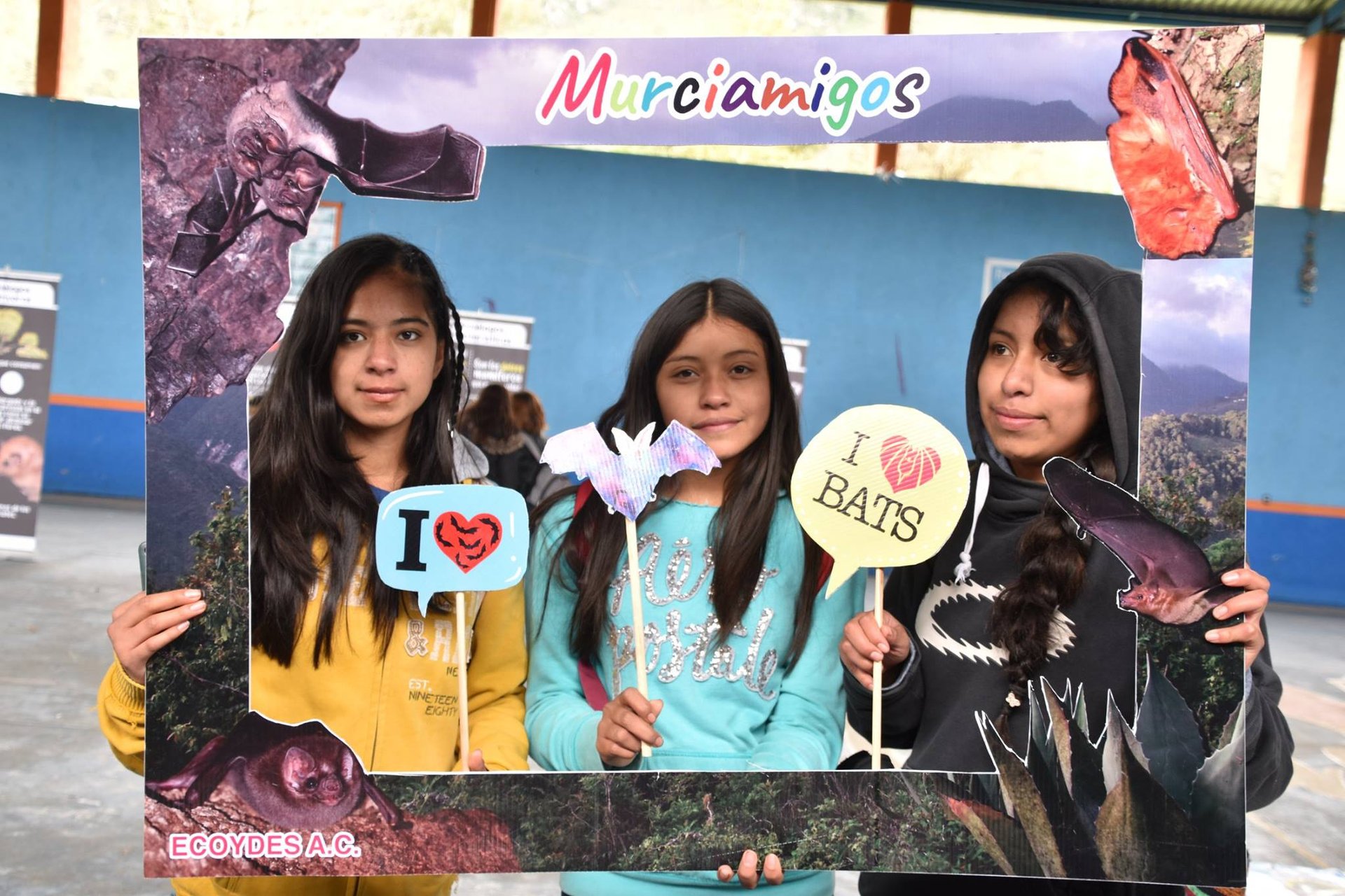 Actividades de educación ambiental