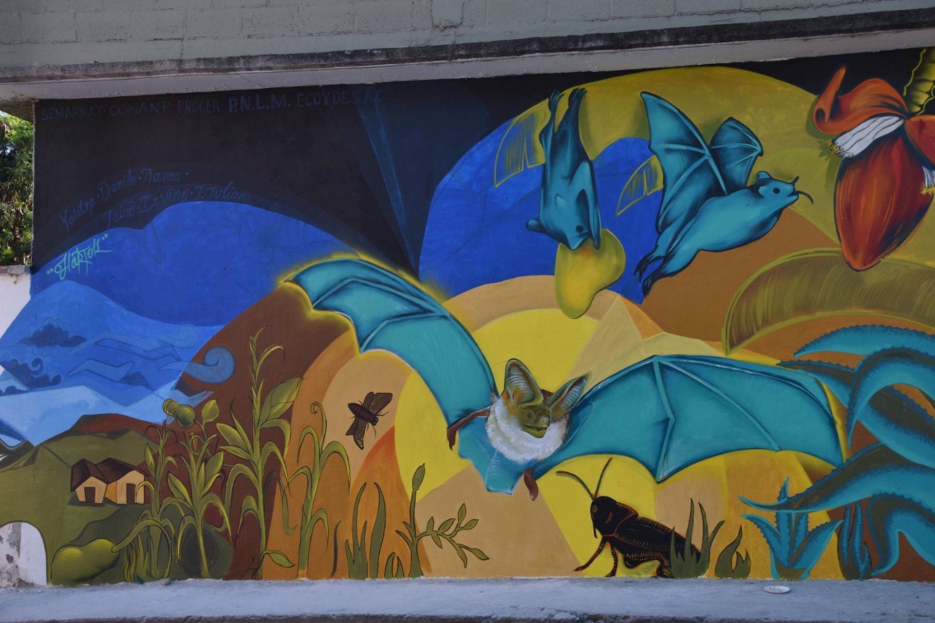 Actividades de educación ambiental