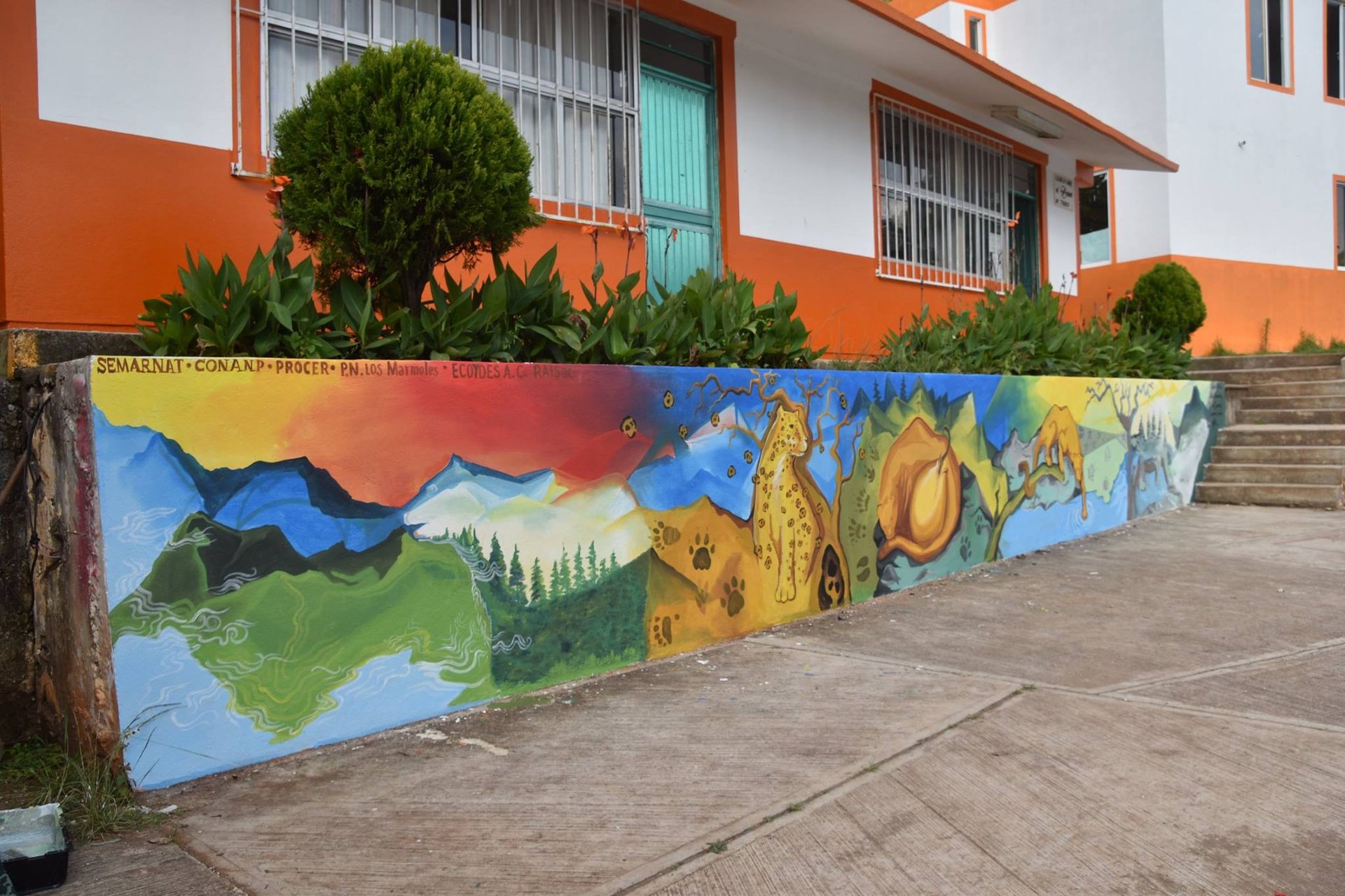 Actividades de educación ambiental