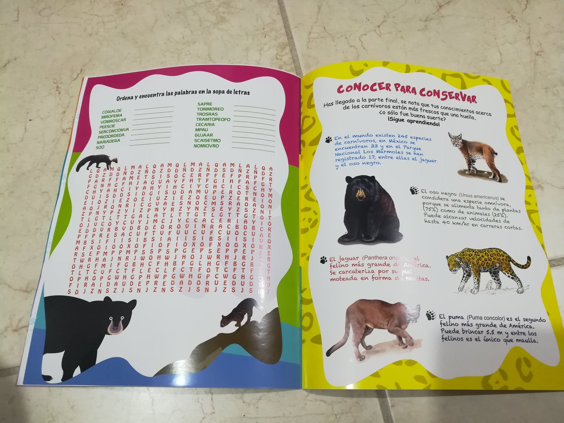 Actividades de educación ambiental