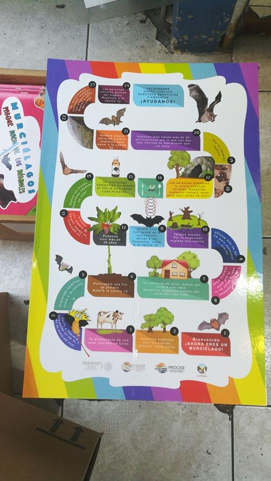 Actividades de educación ambiental
