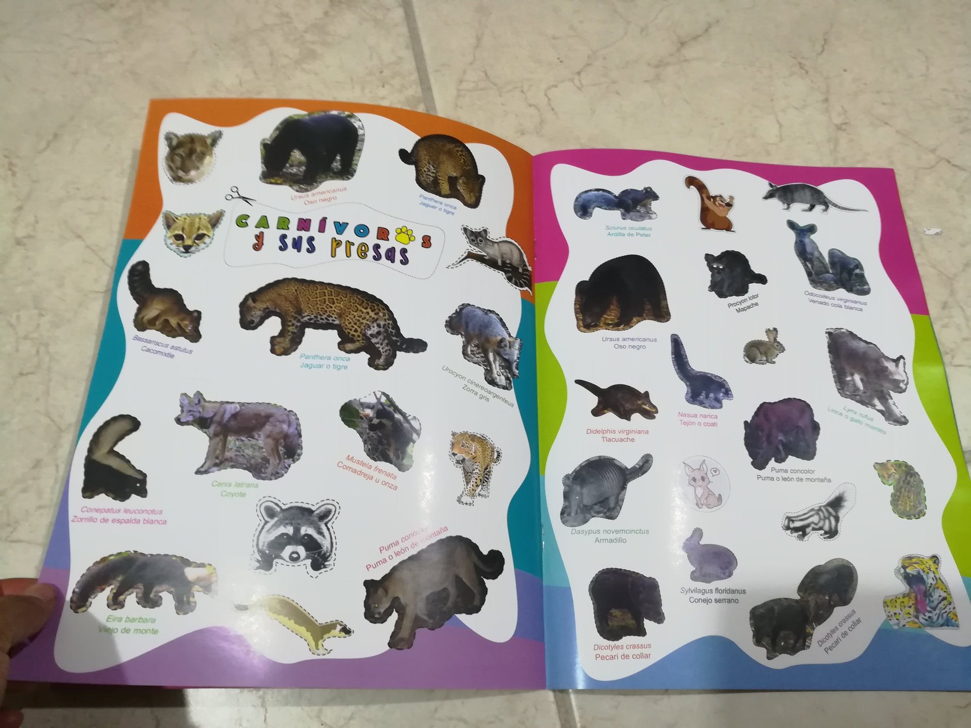 Actividades de educación ambiental