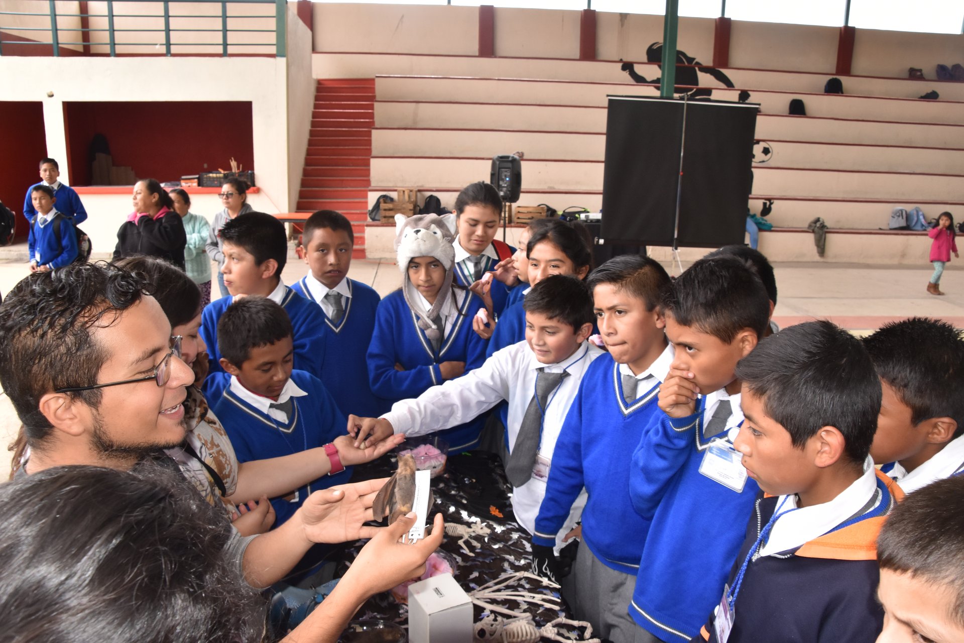 Actividades de educación ambiental