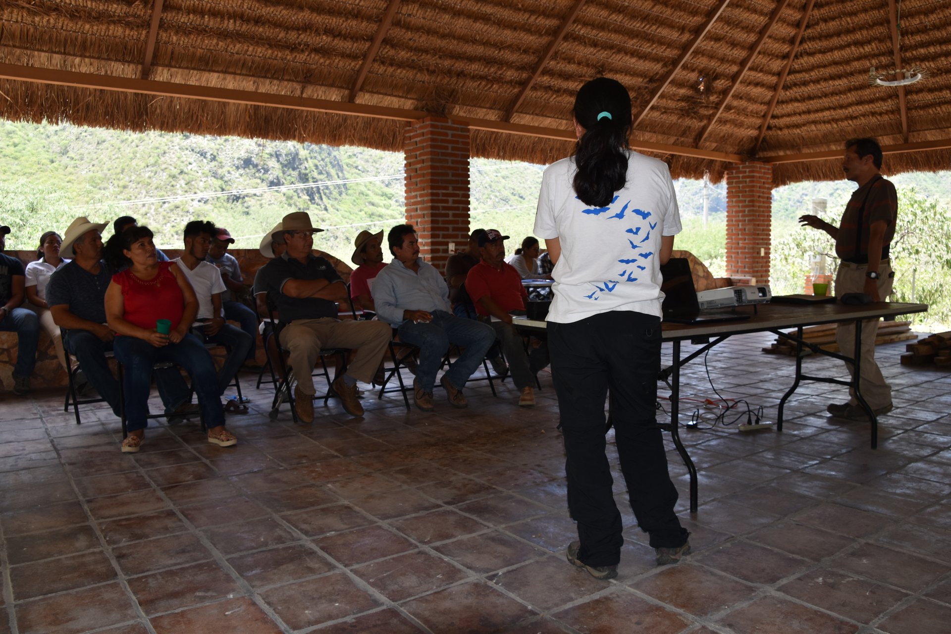 Actividades de educación ambiental
