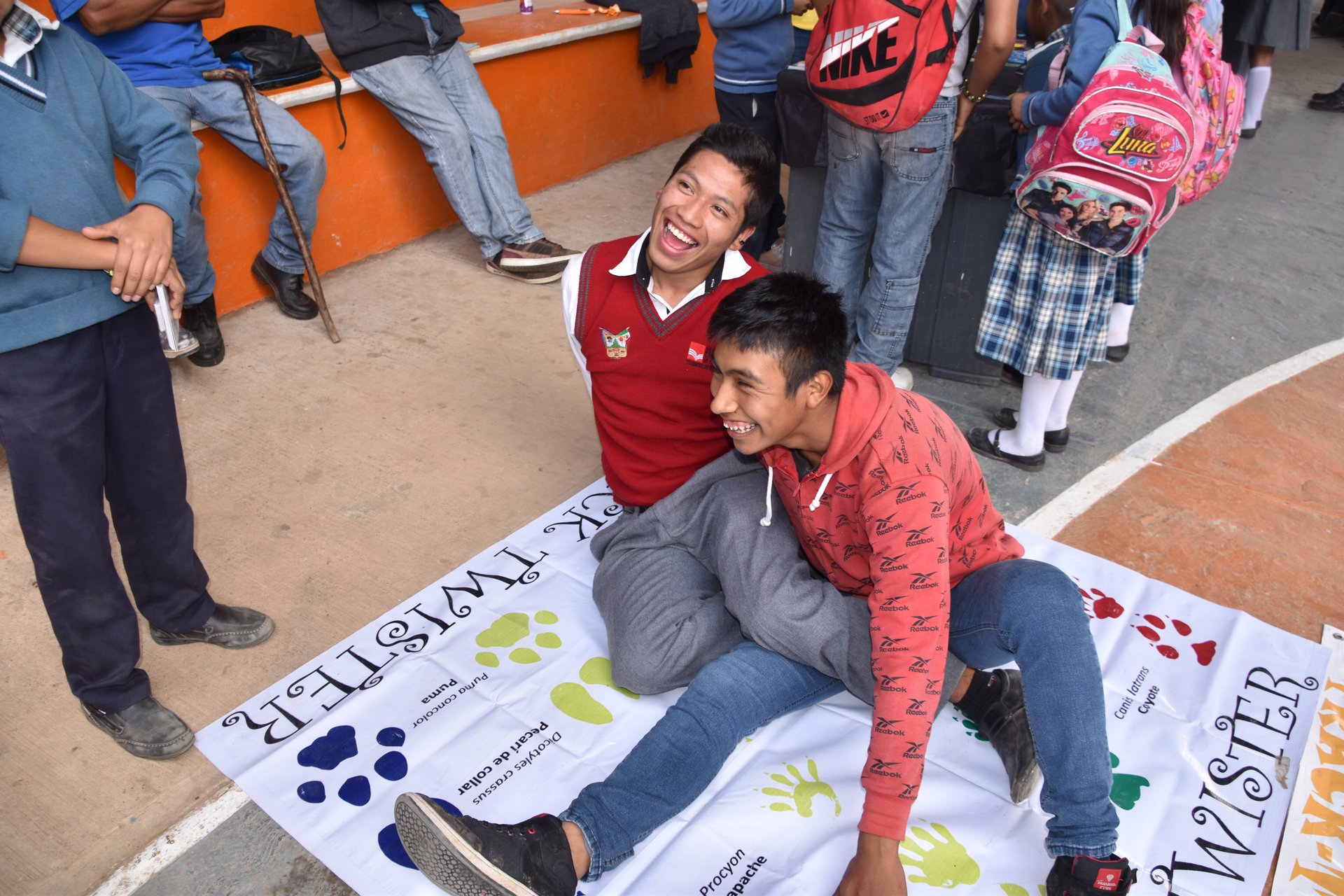 Actividades de educación ambiental