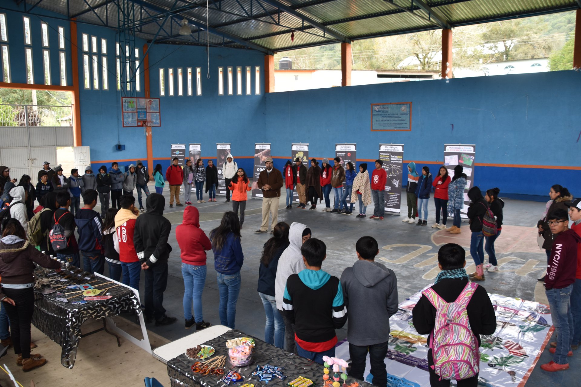Actividades de educación ambiental
