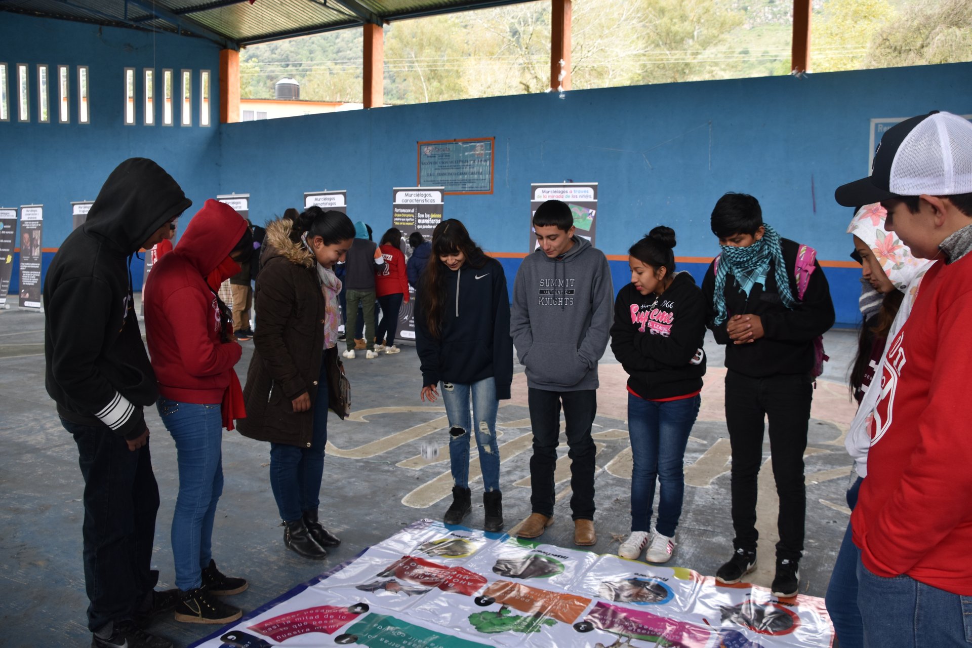 Actividades de educación ambiental