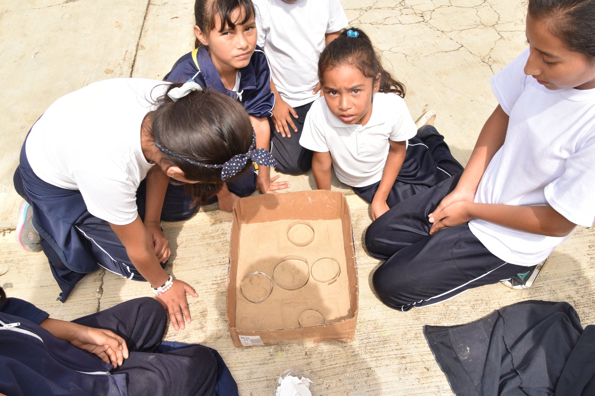 Actividades de educación ambiental