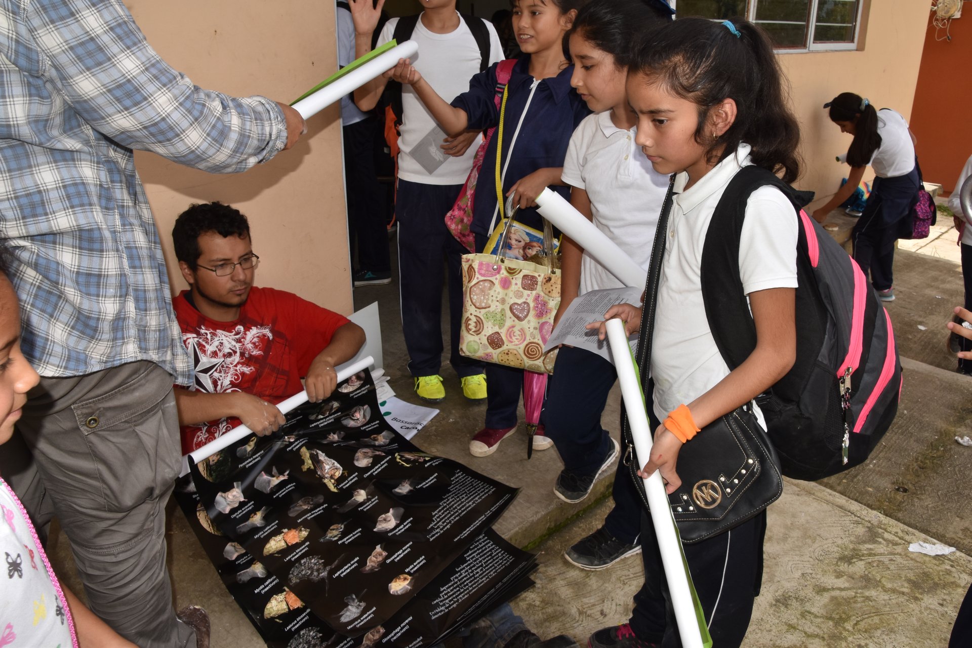 Actividades de educación ambiental