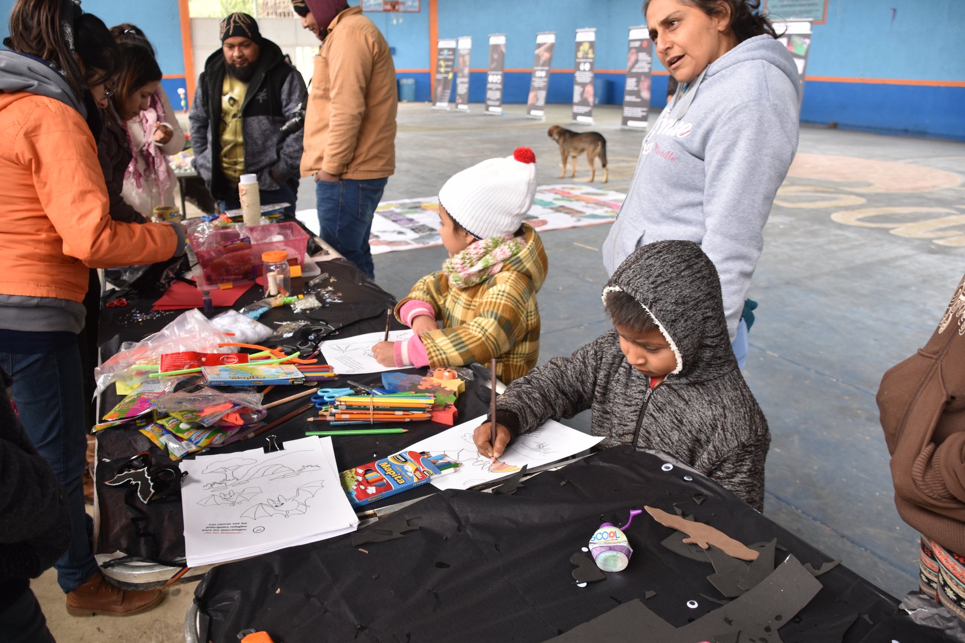 Actividades de educación ambiental