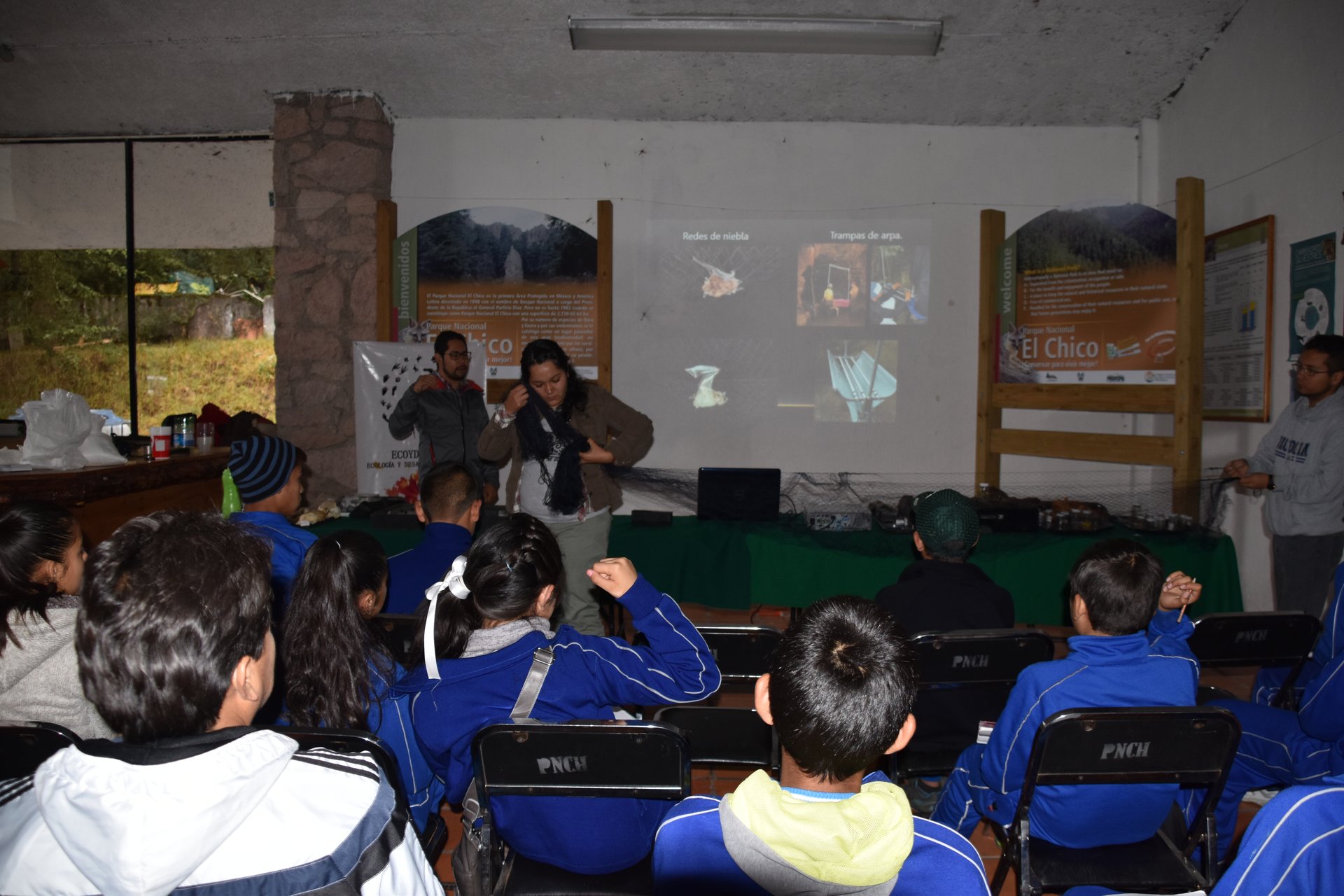 Actividades de educación ambiental
