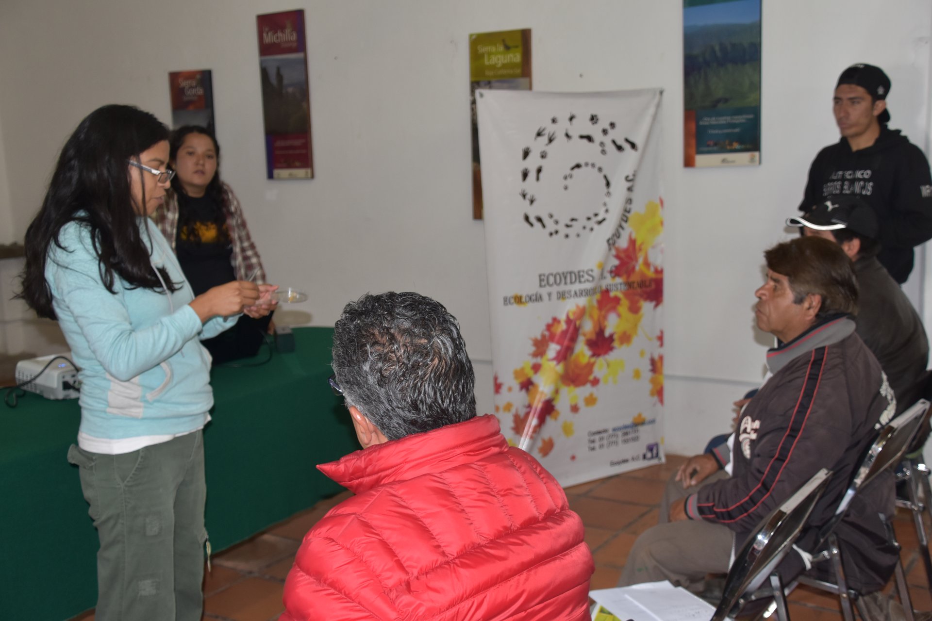 Actividades de educación ambiental