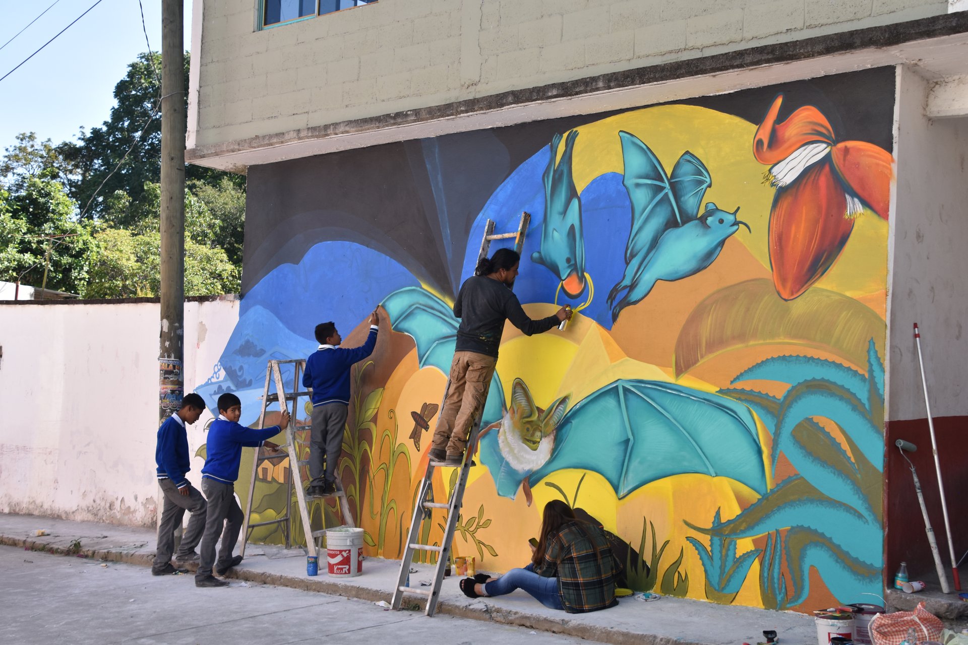Actividades de educación ambiental