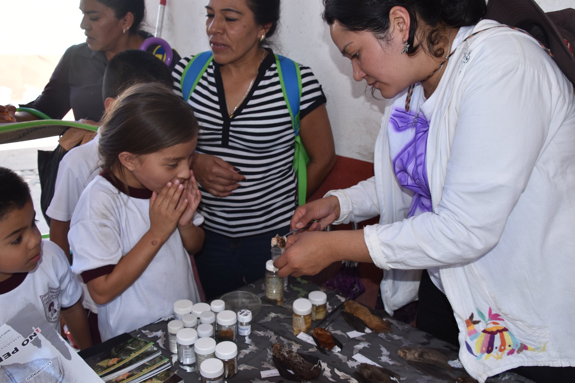 Actividades de educación ambiental
