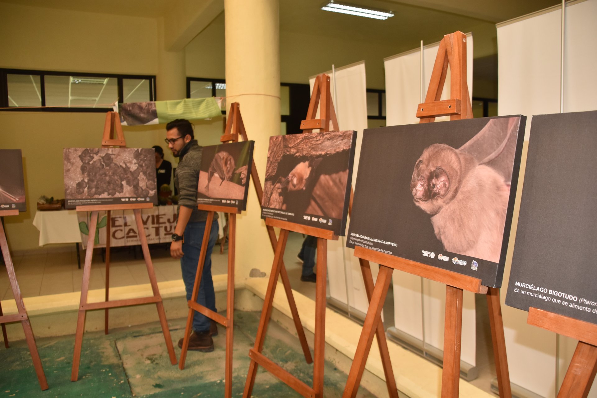 Actividades de educación ambiental