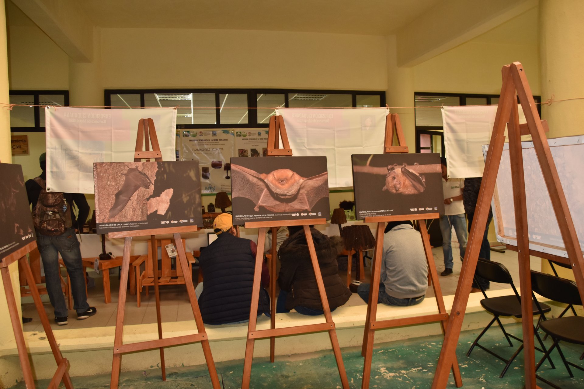 Actividades de educación ambiental