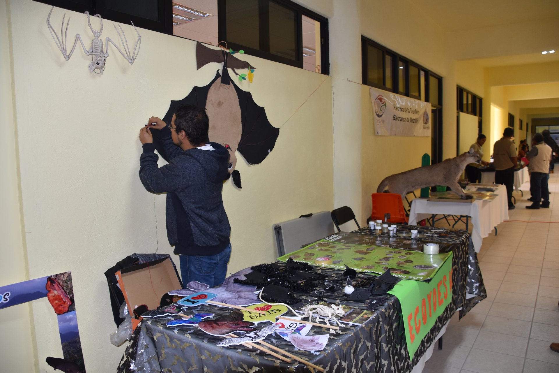 Actividades de educación ambiental