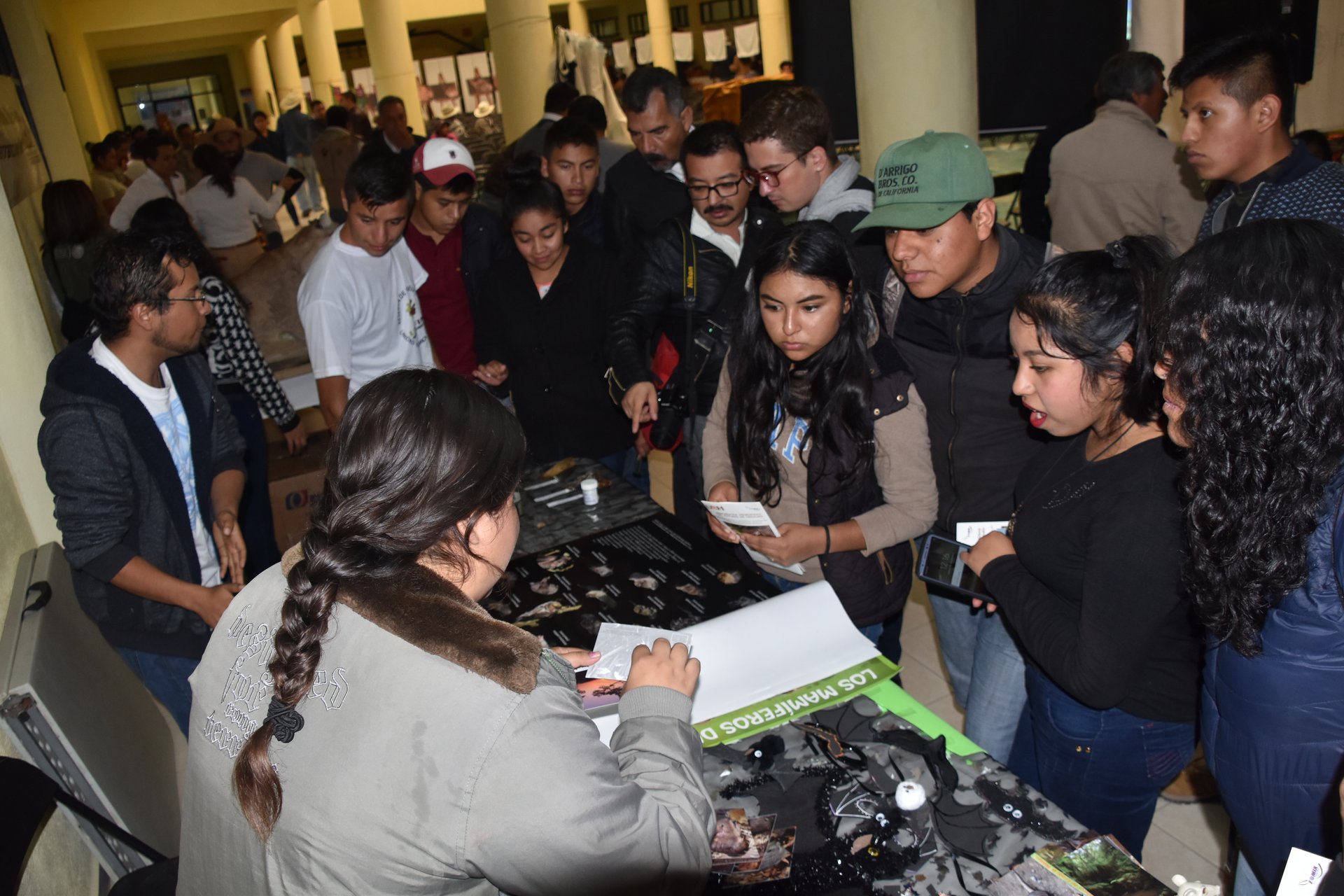 Actividades de educación ambiental