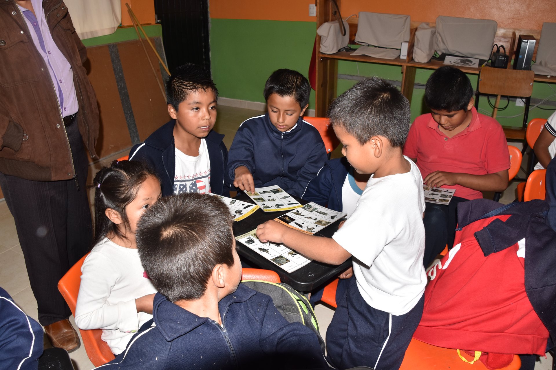 Actividades de educación ambiental