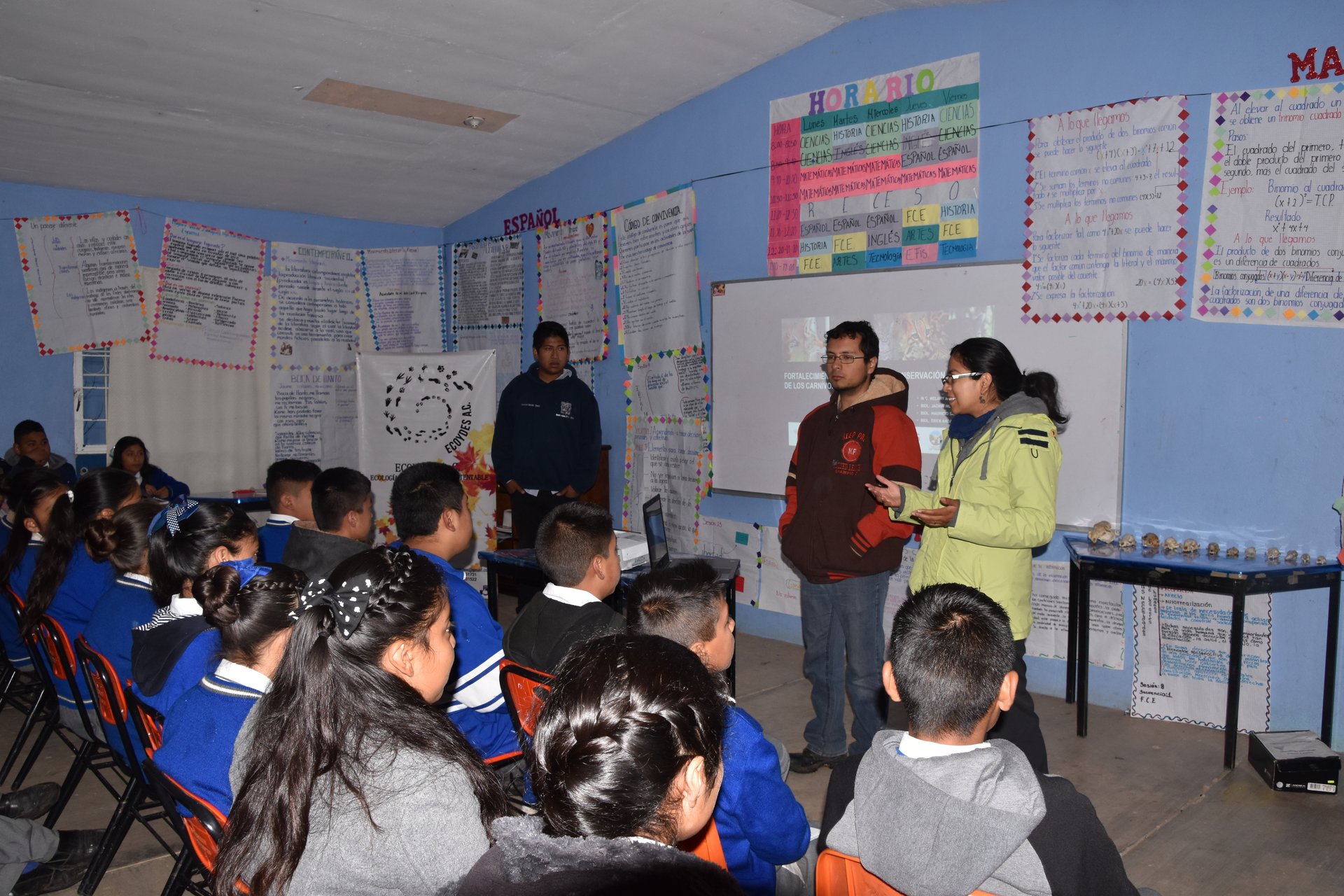 Actividades de educación ambiental