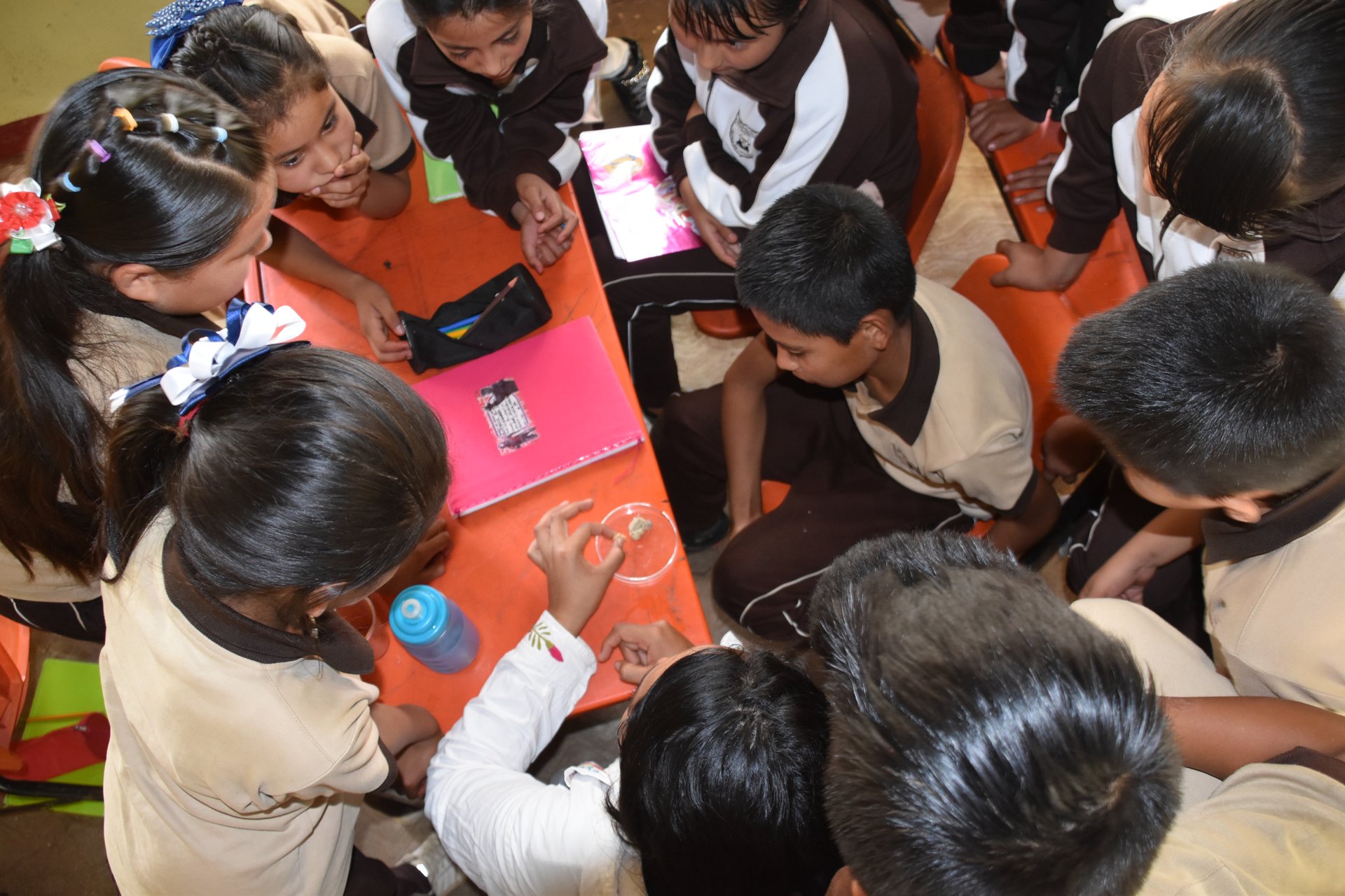 Actividades de educación ambiental