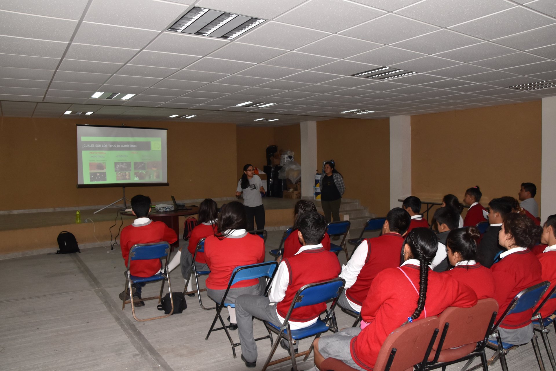 Actividades de educación ambiental