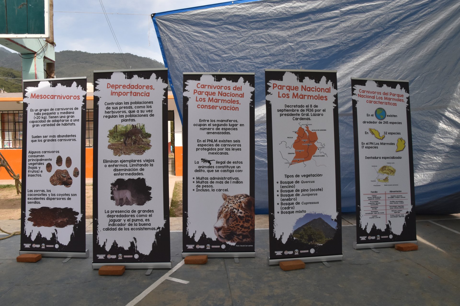 Actividades de educación ambiental