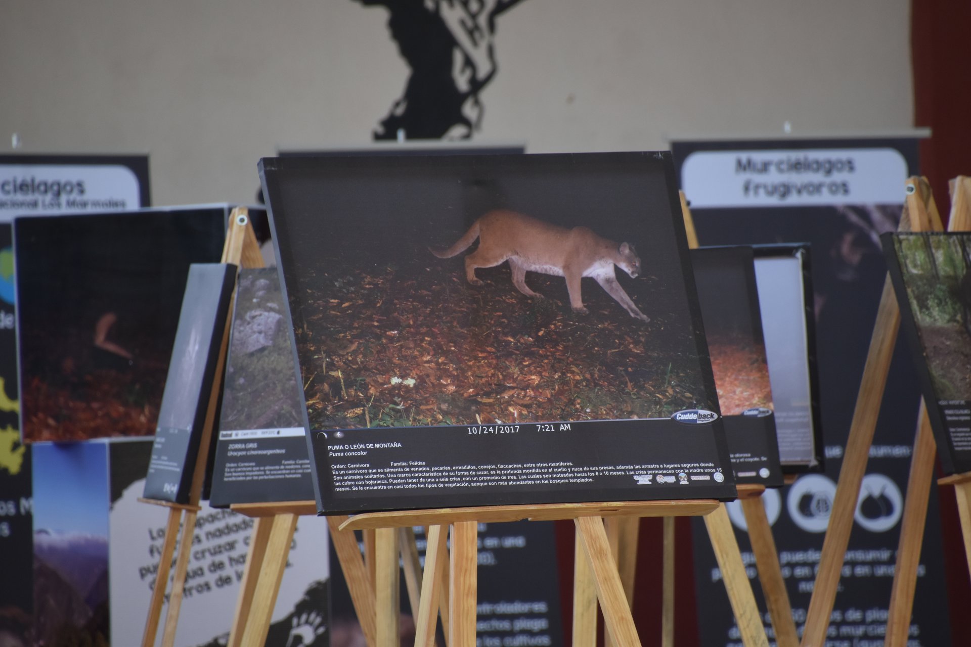 Actividades de educación ambiental