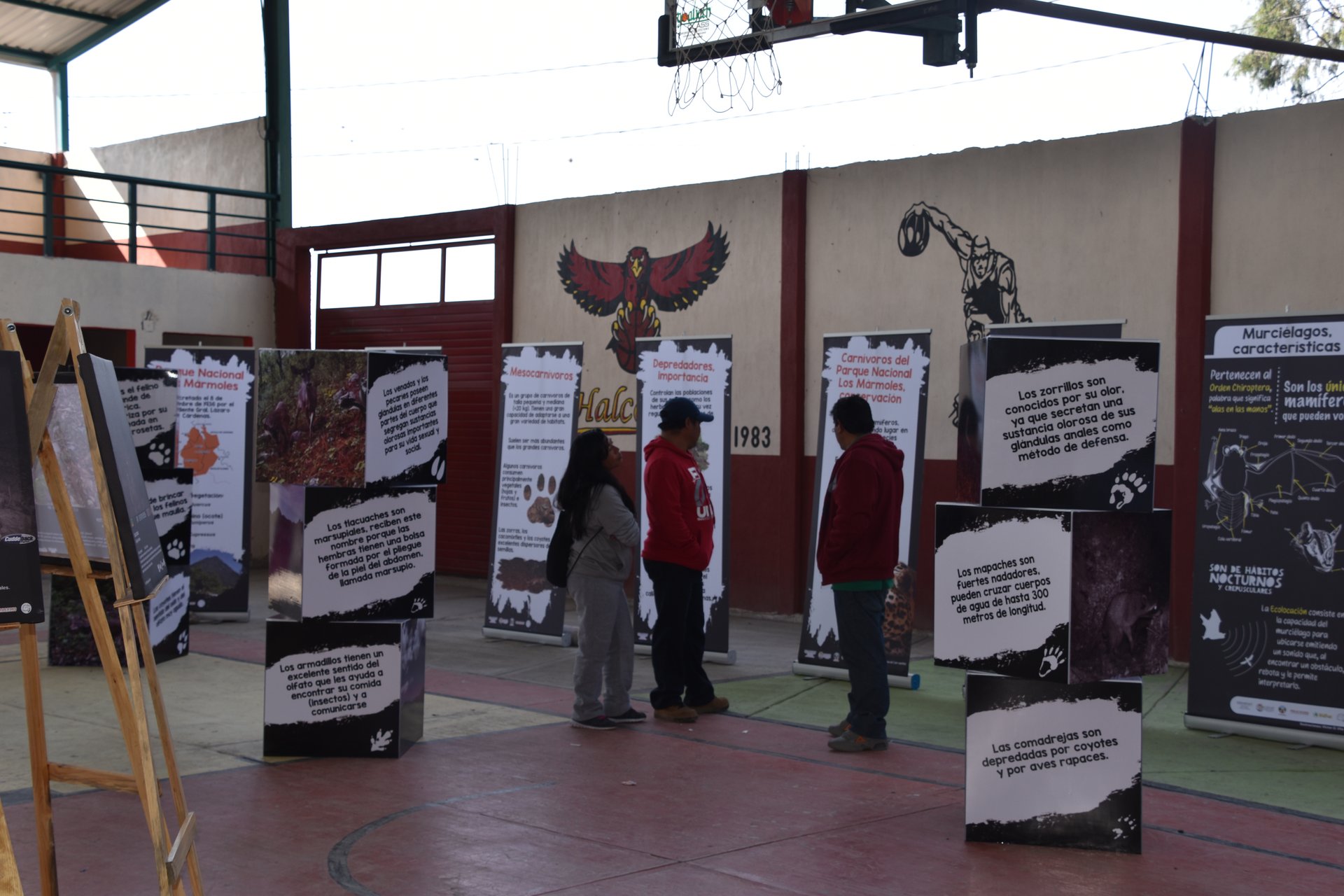 Actividades de educación ambiental