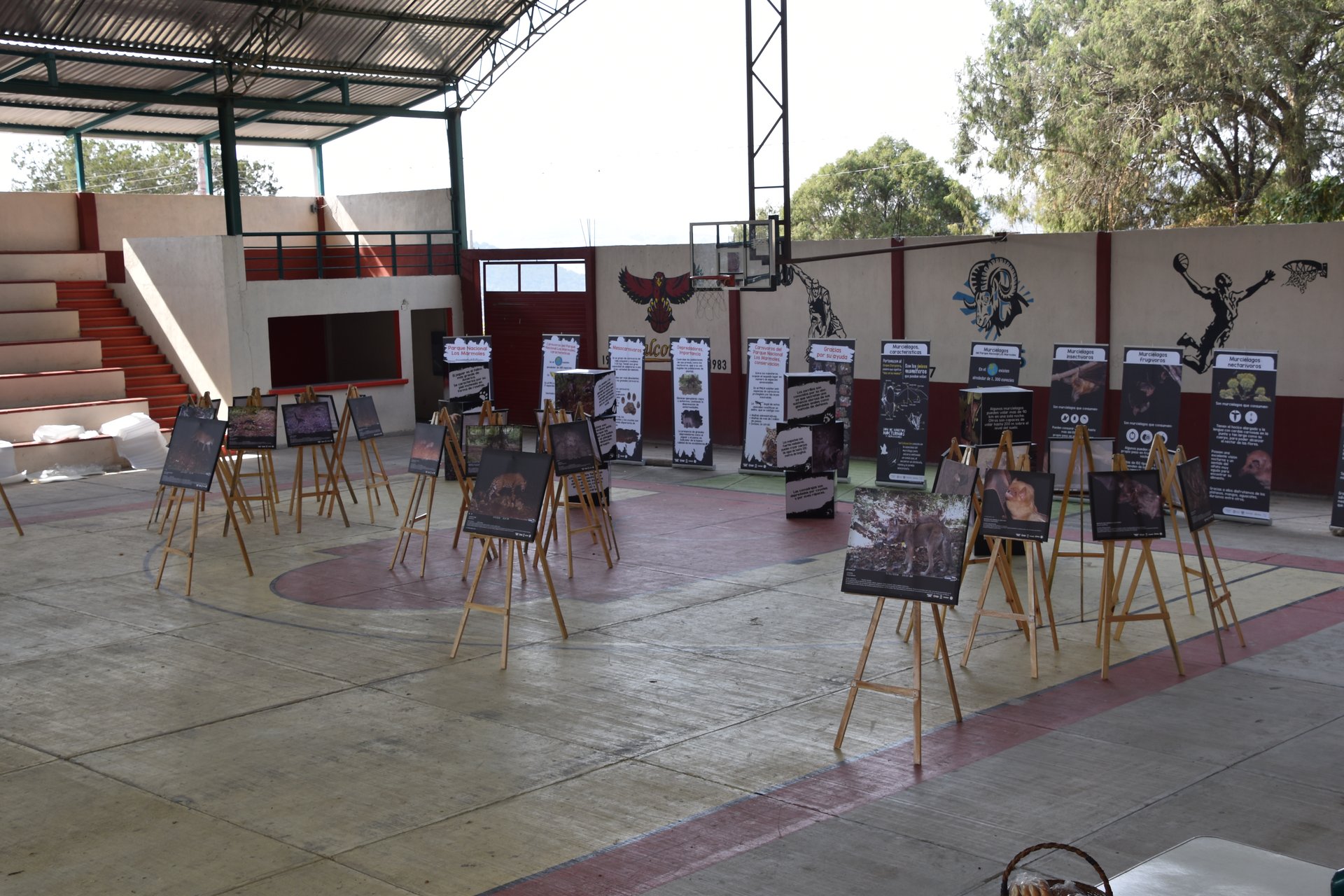 Actividades de educación ambiental