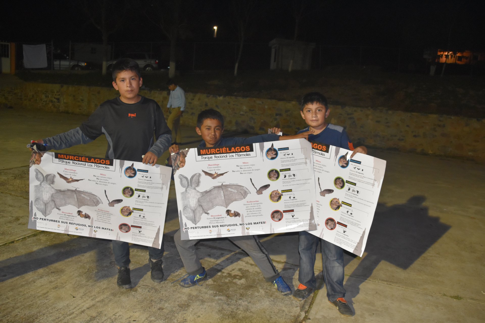 Actividades de educación ambiental