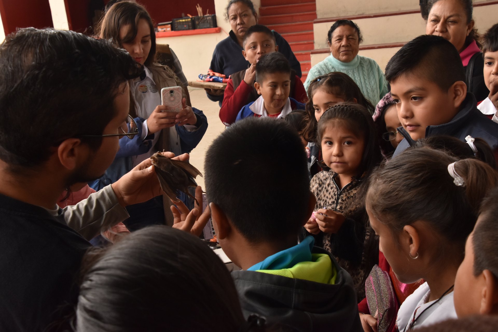 Actividades de educación ambiental