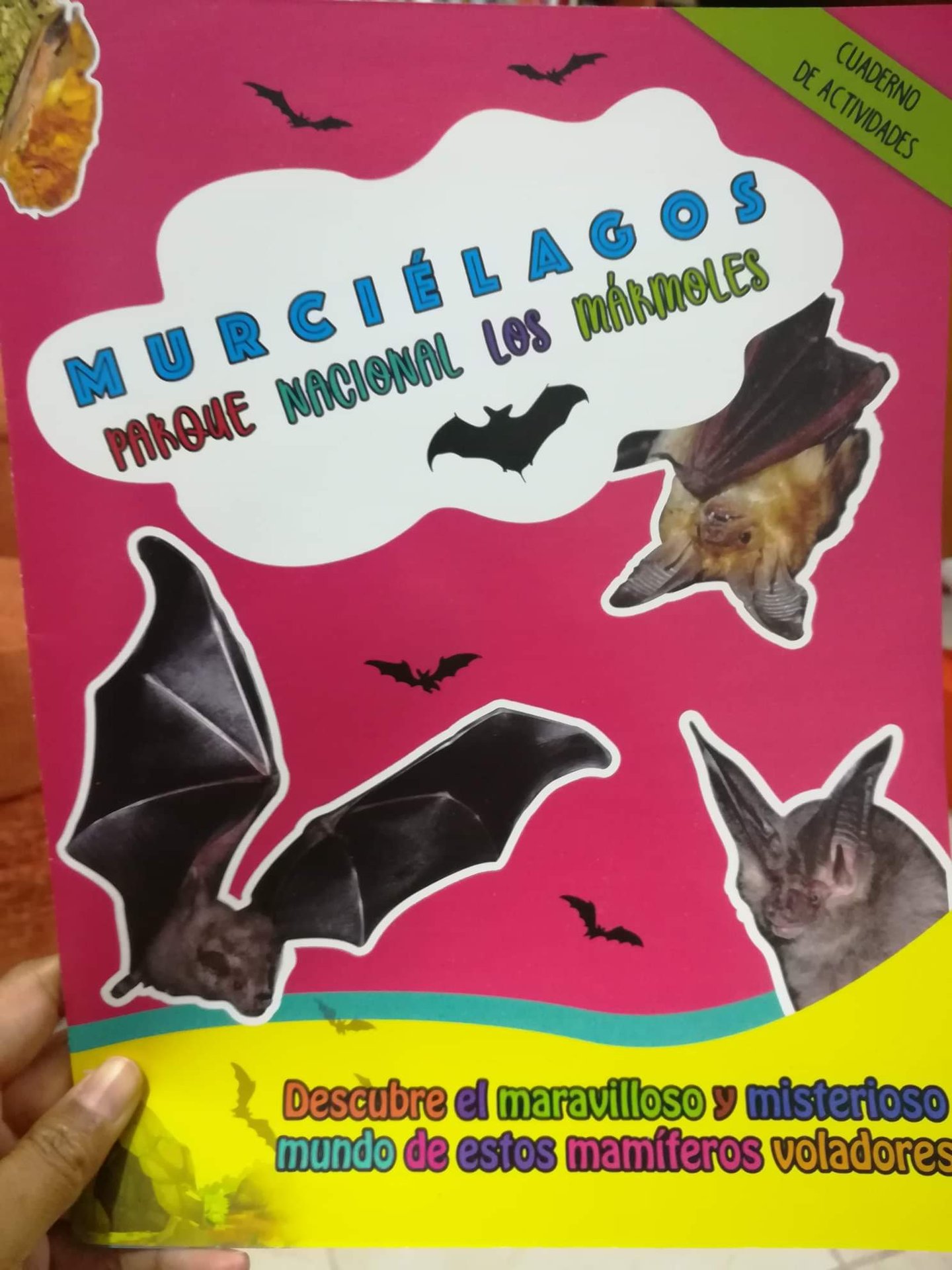 Actividades de educación ambiental