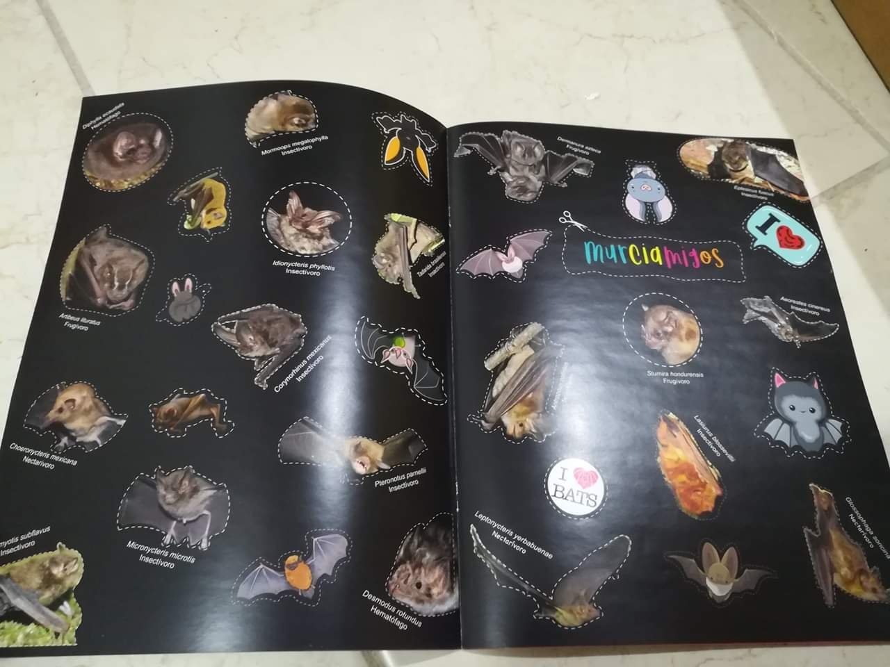 Actividades de educación ambiental