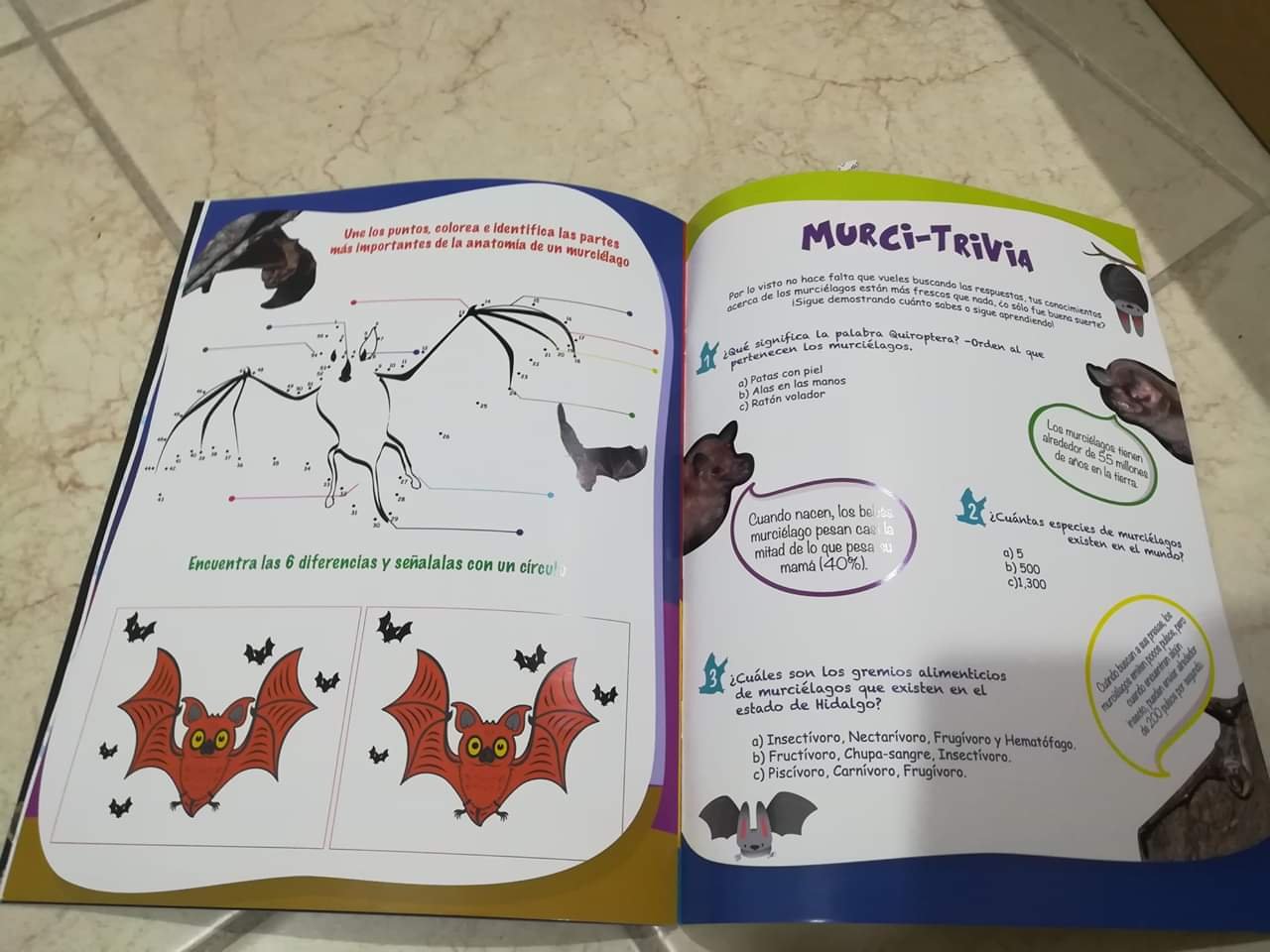 Actividades de educación ambiental