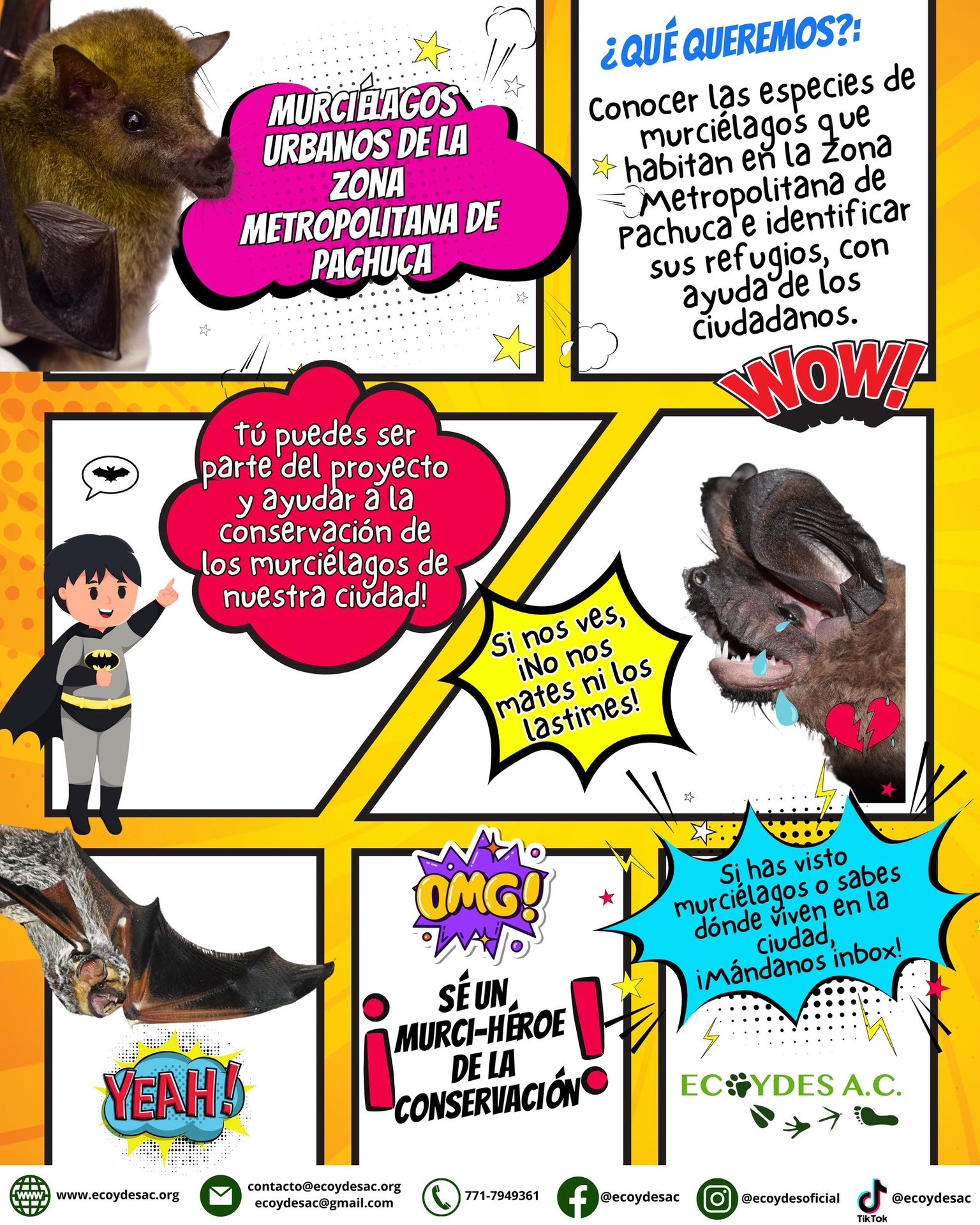 Actividades de educación ambiental