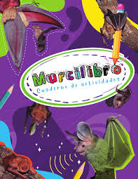 Actividades de educación ambiental