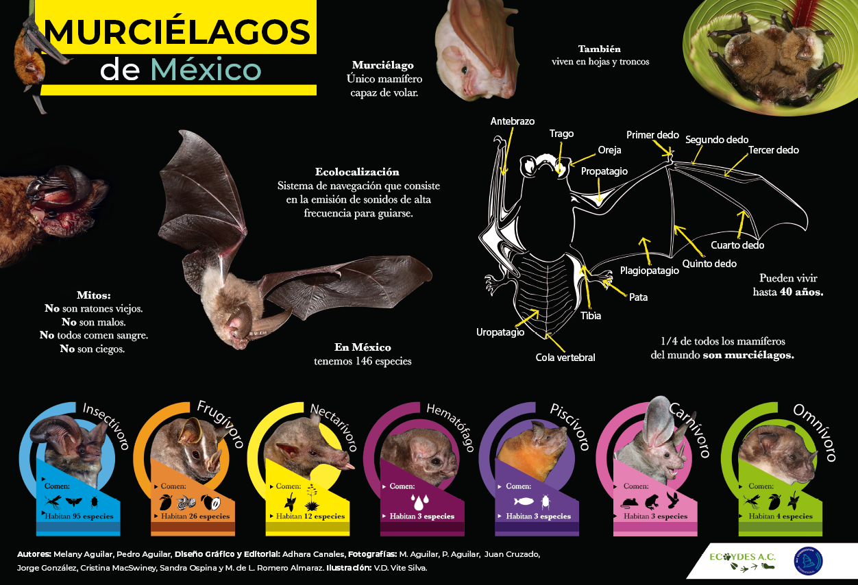 Actividades de educación ambiental