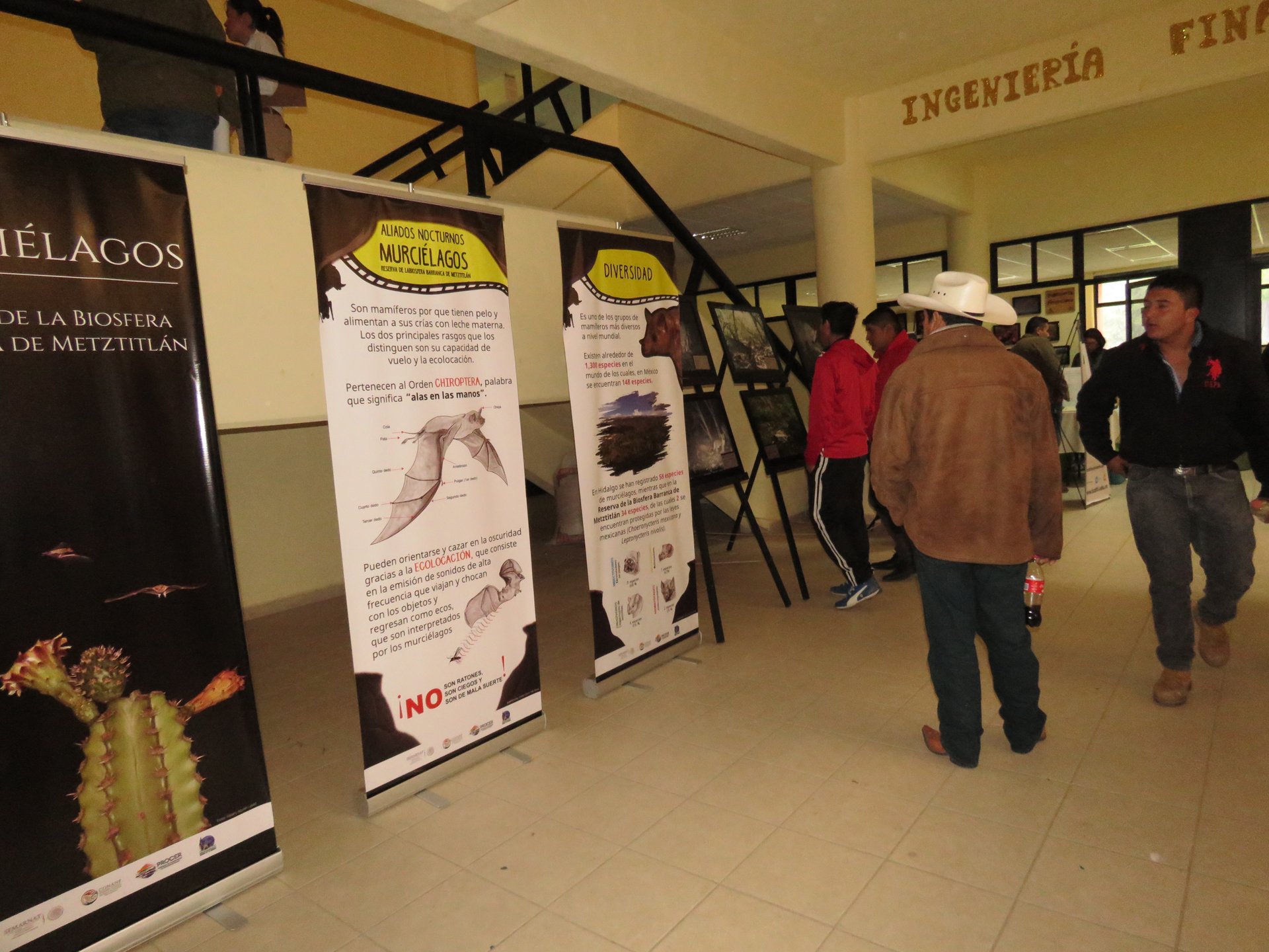 Actividades de educación ambiental