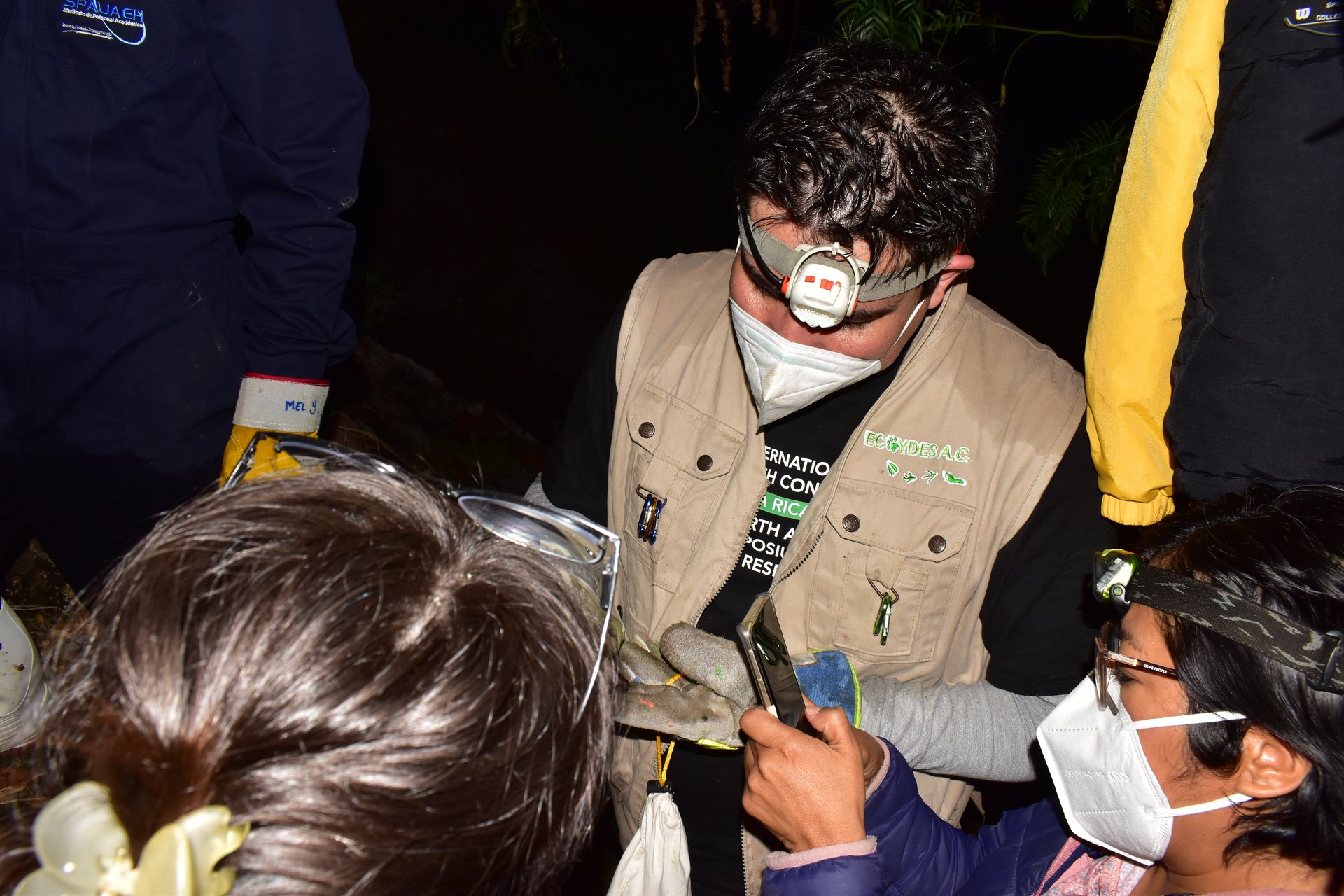 Proyectos de biodiversidad