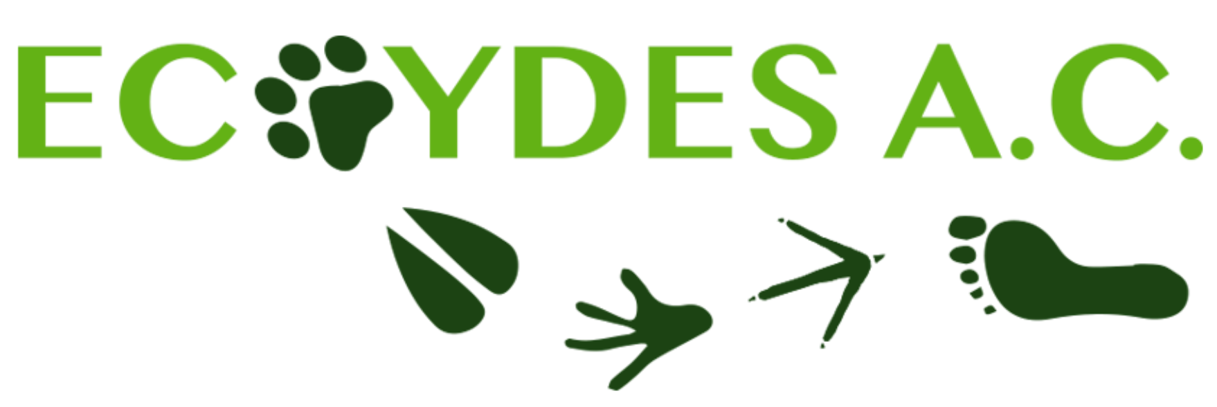 ECOYDES AC